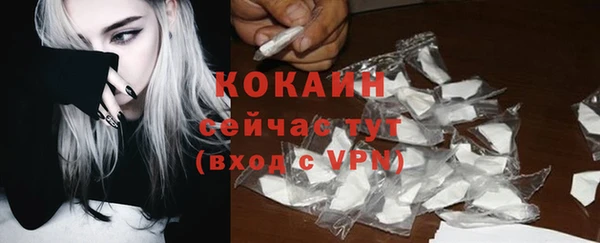 стафф Медногорск