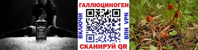 кракен онион  Иланский  Псилоцибиновые грибы мухоморы 
